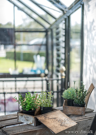 Udstilling HUSET web -20160916-9400