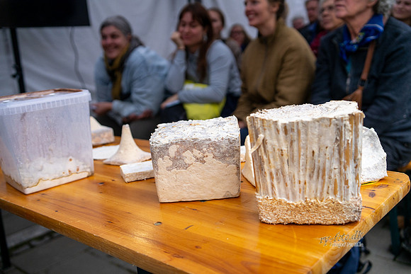 Utzon Arki-Lab – er svampe fremtidens byggemateriale-web-Fotograf Per Bille-20230824DSC06916