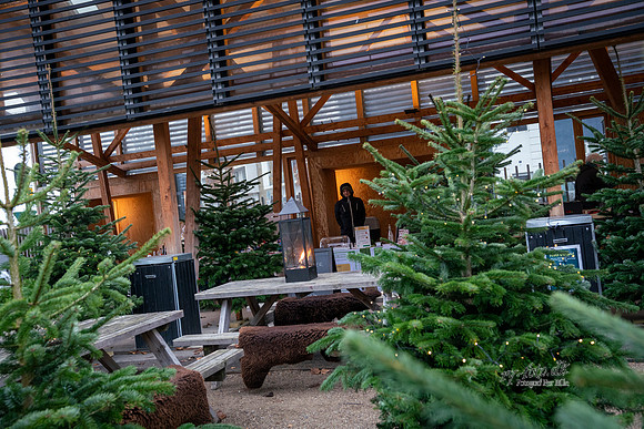Ry City Jul - print- Fotograf_Per_Bille-20201205-03157