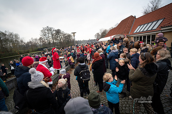 Juletræestænding Ry 2019  - print  - Fotograf Per Bille-20191117-00595