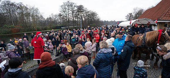 Juletræestænding Ry 2019  - print  - Fotograf Per Bille-20191117-00597