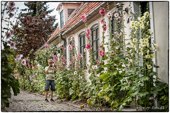 Familie -fotograf Per Bille-20170717-0910