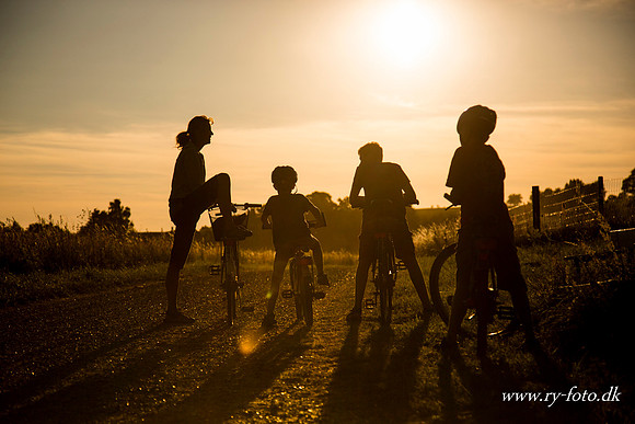 Cykel familie-0001