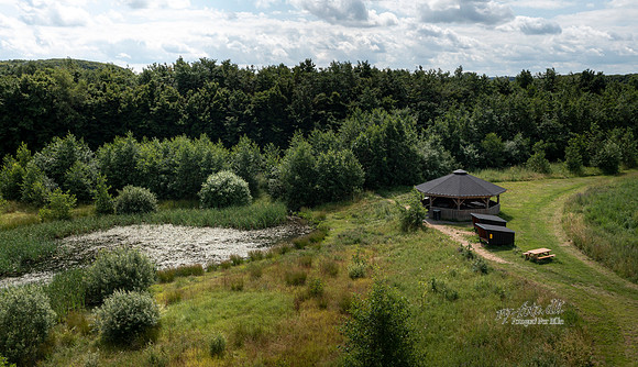 Skovby, Tinbæksøen - print - Fotograf Per Bille-20210711-DJI_0819