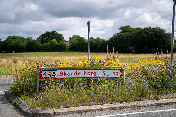 Vild med Skanderborg - print - Fotograf Per Bille-20210711-DSC03155