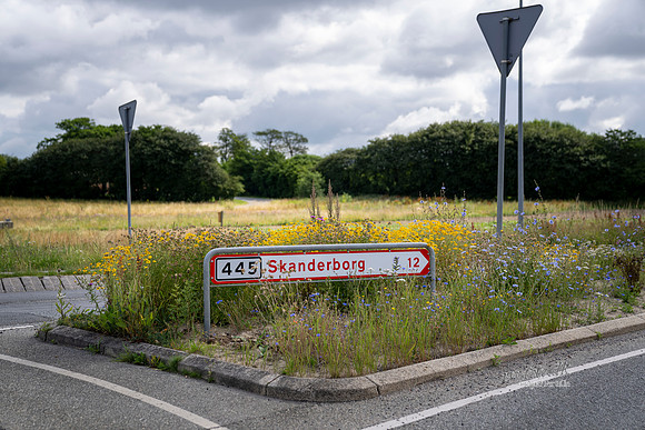 Vild med Skanderborg - print - Fotograf Per Bille-20210711-DSC03157