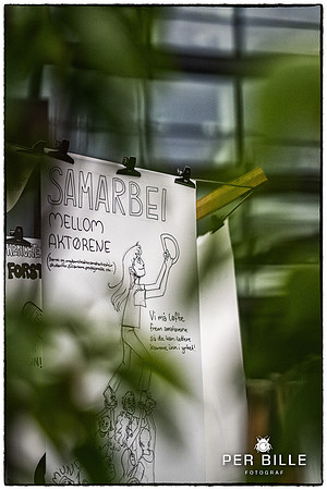 Kulturytring-fb-Fotograf Per Bille-20250622-AAA09510-Edit