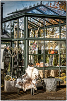 Drivhus HUSET Middelfart