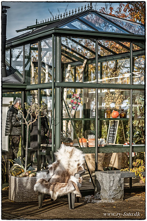 PD drivhusdrømme- Fotograf Per Bille-20161030--2