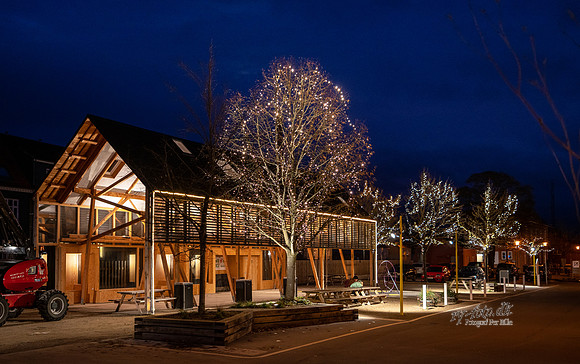 Ry City - Juletræstænding - avis - Fotograf Per Bille-20181118-9644