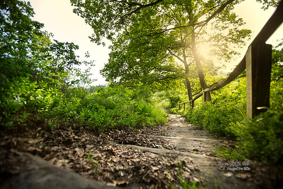 Fotograf Per Bille-20140609-2