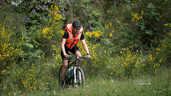 Ry Outdoor lørdag - Fotograf Per Bille-2-17