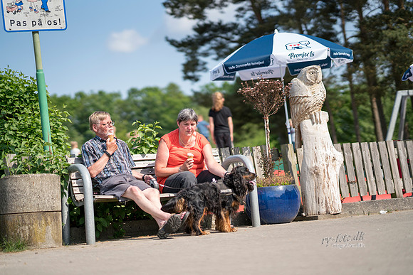 camping - print - Fotograf Per Bille-20180519-09665