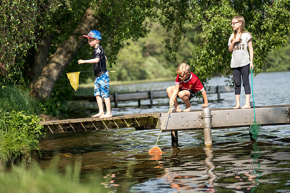 camping - print - Fotograf Per Bille-20180519-09775