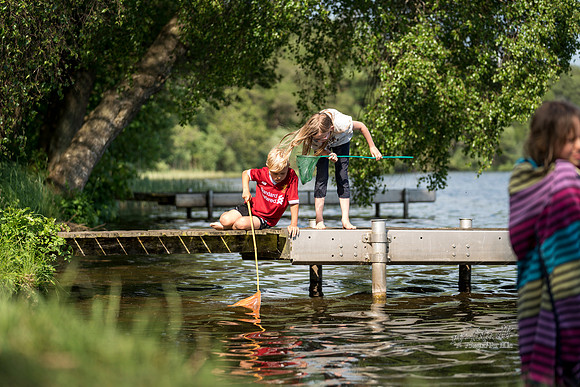 camping - print - Fotograf Per Bille-20180519-09799