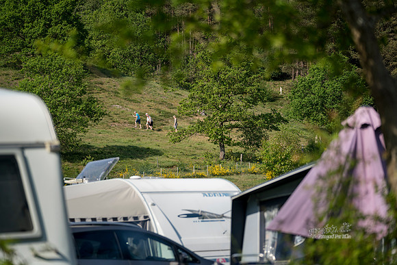camping - print - Fotograf Per Bille-20180519-09941