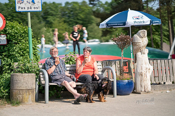 camping - print - Fotograf Per Bille-20180519-09671