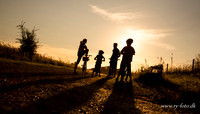 Cykel familie-0016-2