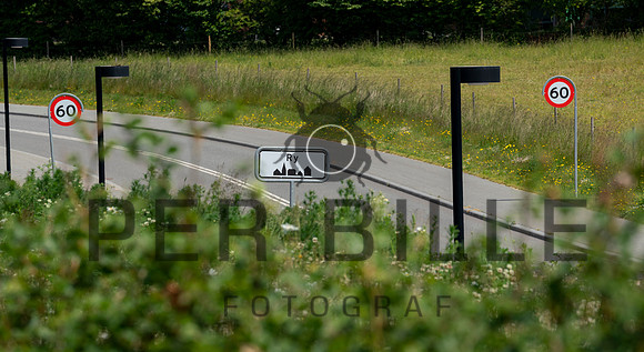 Kildebjerg- print - Fotograf Per Bille-20200617-00140
