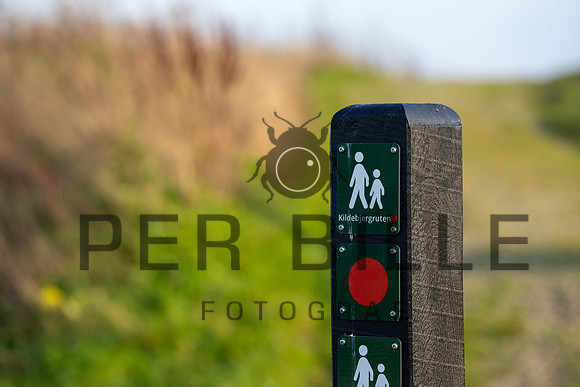 Kildebjerg, Ry-print - Fotograf Per Bille-20211102-DSC03929