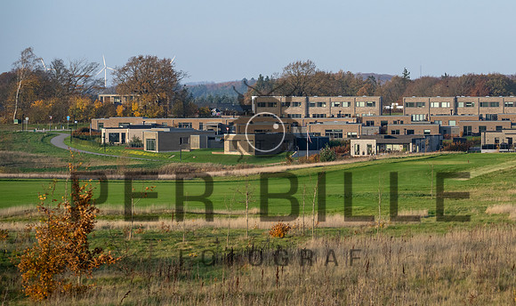 Kildebjerg, Ry-print - Fotograf Per Bille-20211102-DSC03933