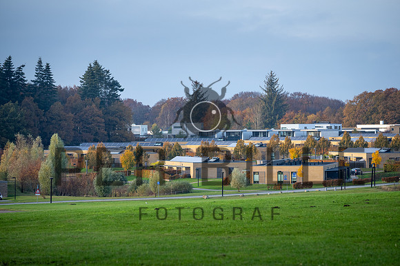 Kildebjerg, Ry-print - Fotograf Per Bille-20211102-DSC03960