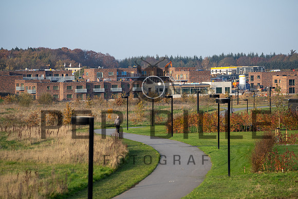 Kildebjerg, Ry-web - Fotograf Per Bille-20211102-DSC03939