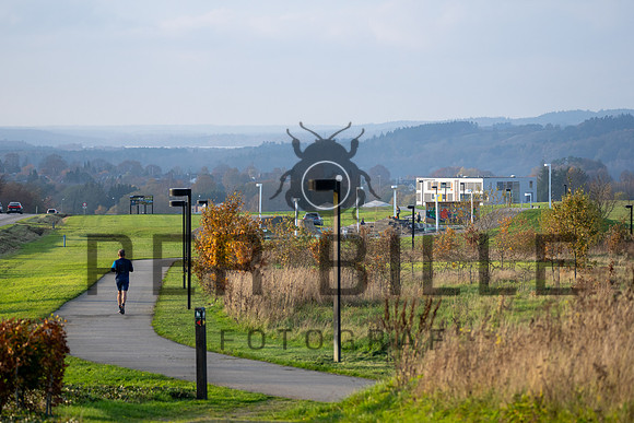 Kildebjerg, Ry-web - Fotograf Per Bille-20211102-DSC03950