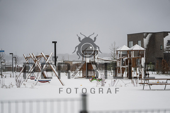 -print -Fotograf Per Bille-20211201-DSC02820