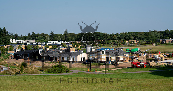Ry - print - Fotograf_Per_Bille-20200811-09227