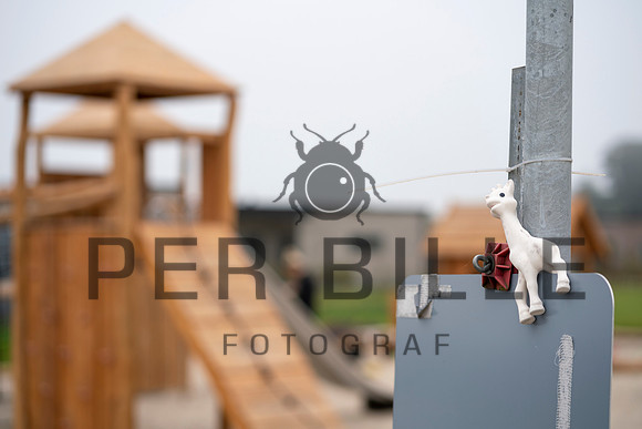 Ry - Print - Fotograf_Per_Bille-20200919-00103
