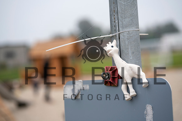 Ry - Print - Fotograf_Per_Bille-20200919-00105