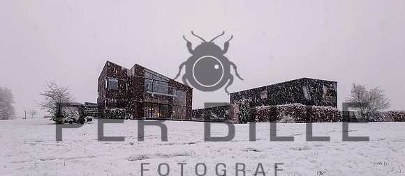 Ry jan Vinter - print - Fotograf_Per_Bille-20201231-DSC_1385
