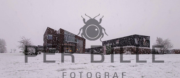 Ry jan Vinter - web - Fotograf_Per_Bille-20201231-DSC_1385