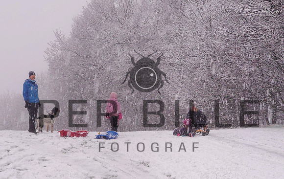 Ry Vinter - print - Fotograf_Per_Bille-20201231-DSC_1388