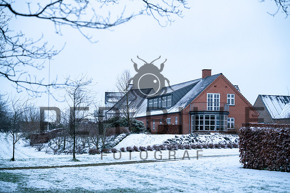 Ry Vinter - print - Fotograf_Per_Bille-20210106-DSC06252-2