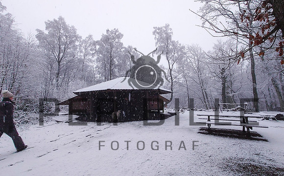 Ry Vinter - print - Fotograf_Per_Bille-20210107-DSC_1395