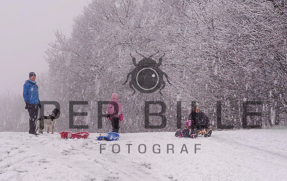 Ry Vinter - web - Fotograf_Per_Bille-20201231-DSC_1388