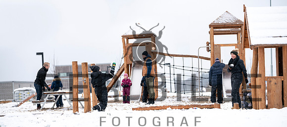 Vinter - web - Fotograf_Per_Bille-20210107-EditDSC06307