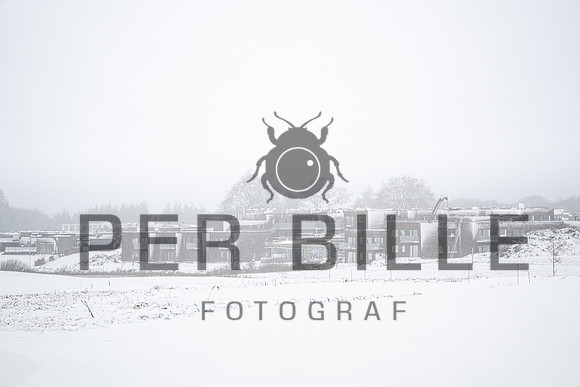 -web -Fotograf Per Bille-20211201-DSC02823