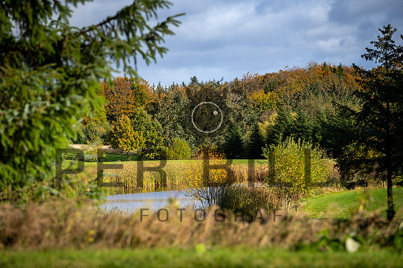 Efterår Ry-print  - Fotograf Per Bille-20211021-DSC07597