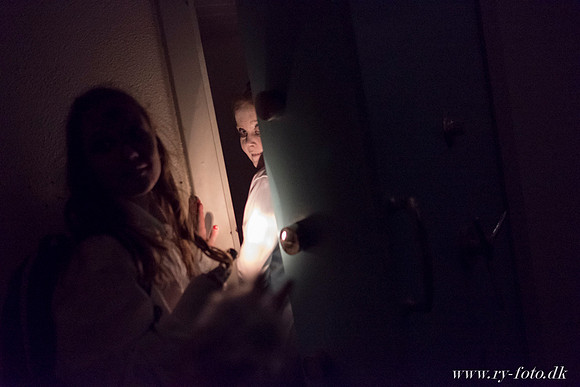 web Halloween Ry 2016 - Fotograf Per Bille-20161028-8840
