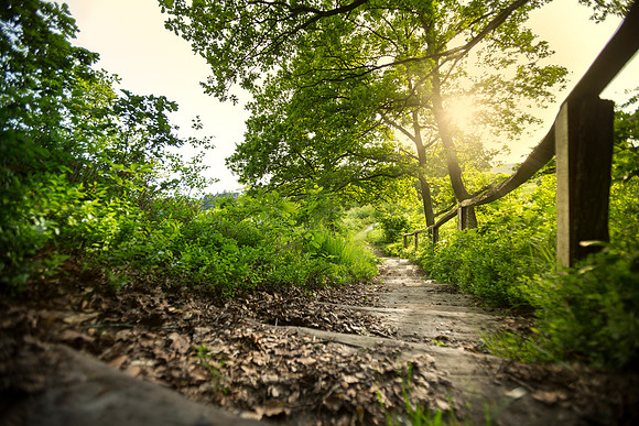 Fotograf Per Bille-20140609-2