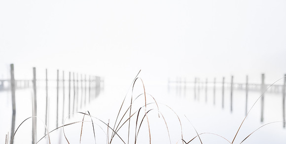 Ry - web -fotograf Per Bille -20190126-02392
