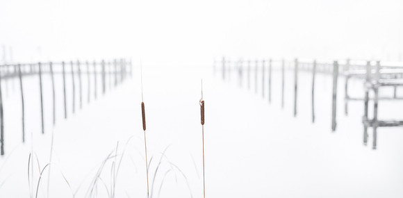 Ry - web -fotograf Per Bille -20190126-02402