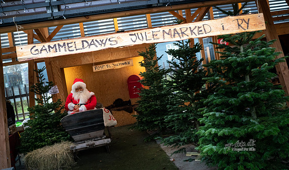Jul i Ry - Avis - fotograf Per Bille-20181208-07164