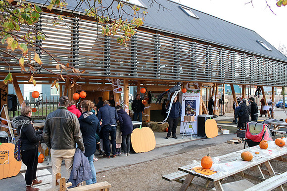 HAlloween Ry City web-20181026-0099