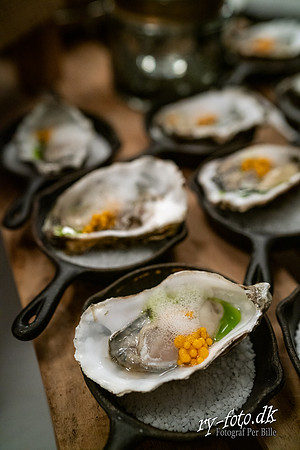 Winemakers Dinner- fb - fotograf Per Bille -20190124-09700