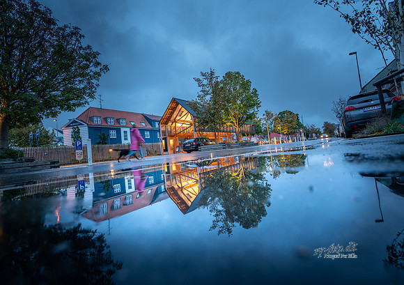 Torvehallen-print -Fotograf Per Bille -20180920-5586