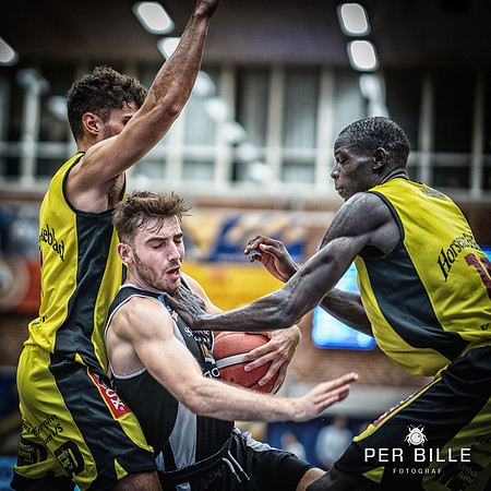 Bakken  Bears-fb-Fotograf Per Bille-20230919DSC00974-Edit